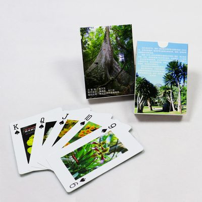 Buy Holographic Advertising Playing Cards Display Enterprise Propaganda Custom Paper Playing Cards online manufacture