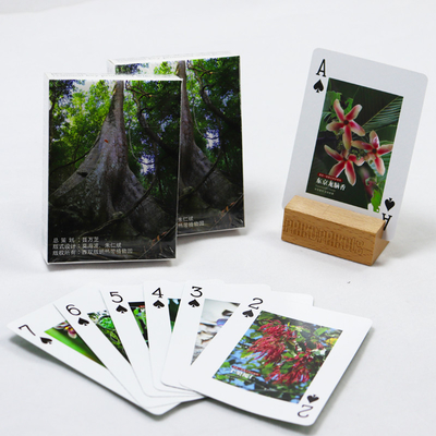 Buy Custom Printed Green Advertising Playing Cards With Box Printing High Quality Germany Black Core Paper Playing Card online manufacture