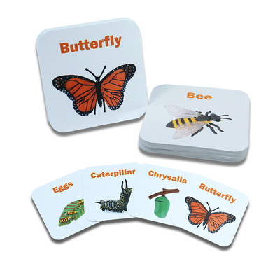 Buy Custom-Made Children's Learning Toy Varnished Matching Cards For Animal Recognition Fun online manufacture