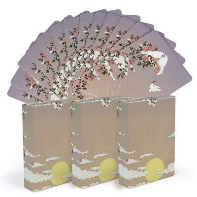Custom Holographic Plastic Playing Cards with Vintage Printing Design and Custom Logo